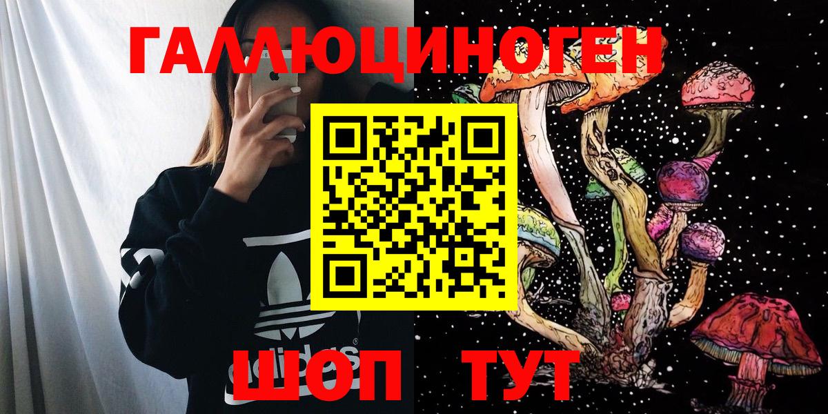 Псилоцибиновые грибы GOLDEN TEACHER Ухта